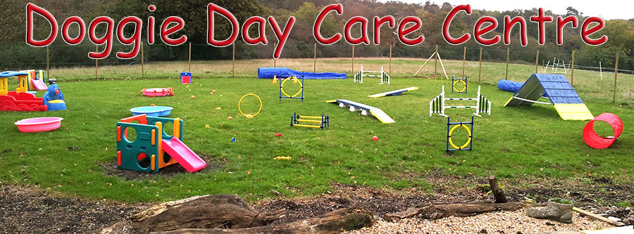 Doggy Day Care Centre